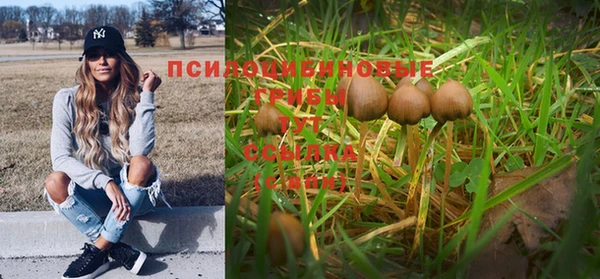 дживик Абдулино