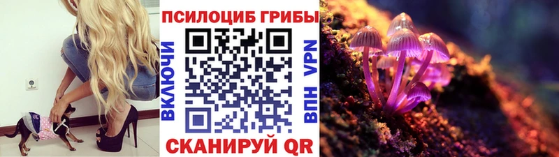 закладка  Усть-Кут  Псилоцибиновые грибы Psilocybine cubensis 